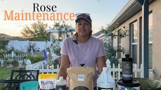 Rose Maintenance 🌹