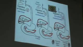 Dr Azza Helminthes 2 Halzoun