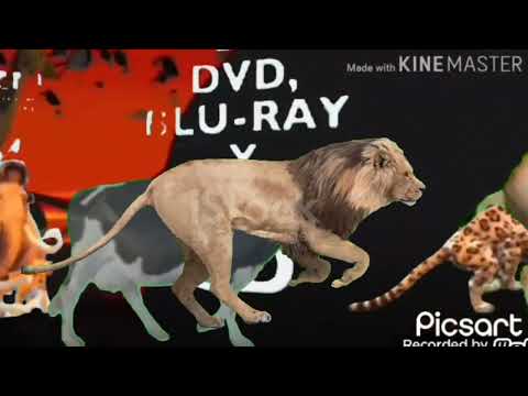 animal stampede part 1