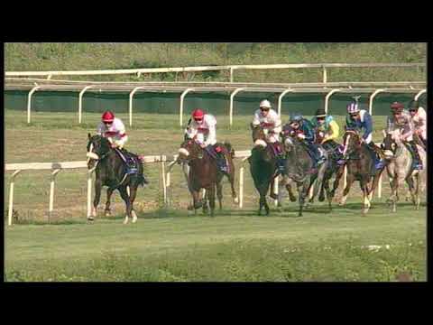 rm 20180429 07 p dubaiintarabianraces