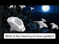 What is moonlight garden | Garden plants ideas |