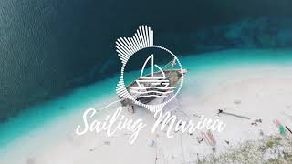 Vlog Music [No Copyright] |  Ehrling - Blissful