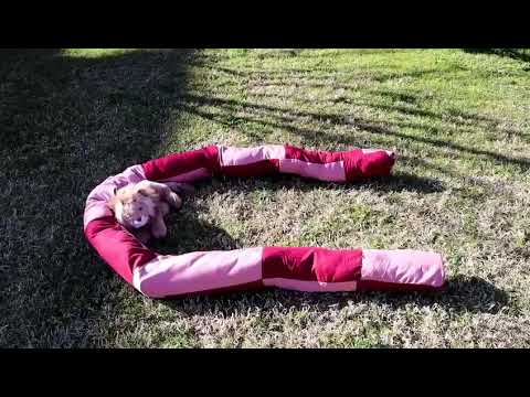 Catper- Smart object project- Sapienza University