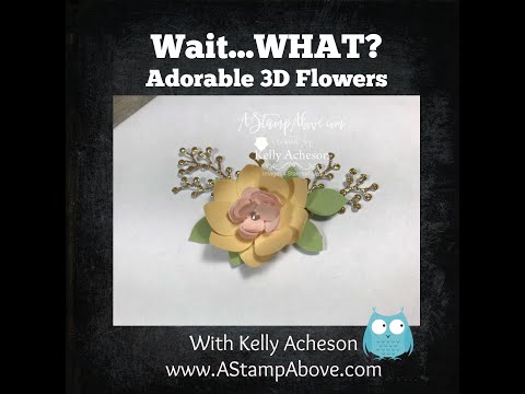 Wait...WHAT? Tip Video