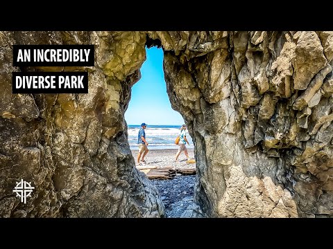 Olympic National Park Must-Visit Stops:Hurricane Ridge, Hoh Rainforest, Rialto Beach, Cape Flattery