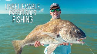 Download Lagu Unbelievable everglades fishing - black drum, snook, tarpon, redfish, goliath grouper, tripletail Thumbnail