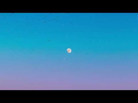 CèJae - Another Year (ft. Yaahn Hunter Jr.) (Official Audio)