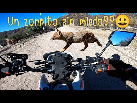 Salimos a disfrutar del día , que mañana no existe!🤪🤪🤣🤣💪🌎❤️Camino a Capilla!