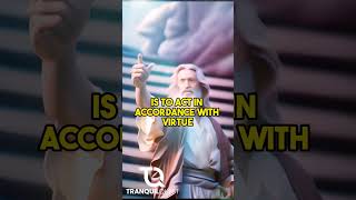 Aristotle on Purpose: Discovering the Best Version of Yourself - Tranquil Quest