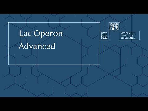 Lac Operon Advanced