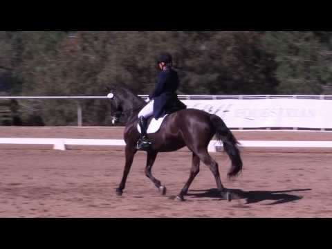 Tane and Talisman Prix St George Dressage