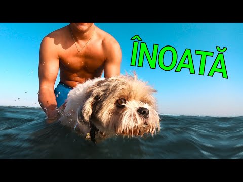 ÎNOATĂ SPOTUȚUUU 💦