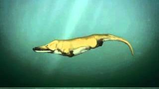 Rancid - Motorcycle Ride