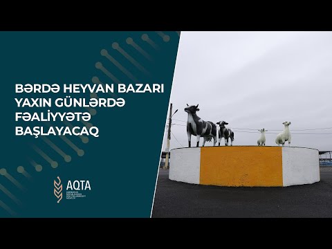 Bərdə heyvan bazarı yaxın günlərdə fəaliyyətə başlayır