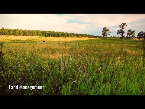 Regenerative Land Management