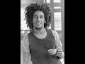 Teenager in Love , Bob Marley and The Wailers