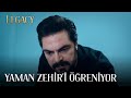 Yaman Catches All The Facts At The Last Moment Legacy Episode 603