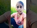Damini Damini