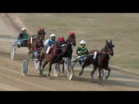 2018.02.24. 1. futam - LÉZER DÍJ