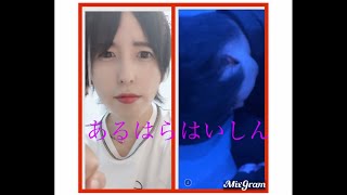 【鉄拳7・ファラン】VS影丸