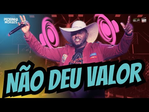 Pedrinha Moraes - NÃO DEU VALOR (DVD Fazendo o som)