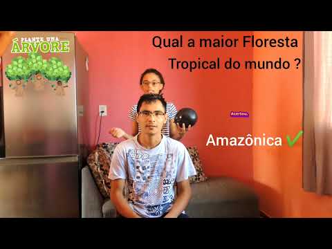 Qual a maior Floresta Tropical do mundo ? Conhecimento Gerais | Pergunta Fácil x Resposta Difícil