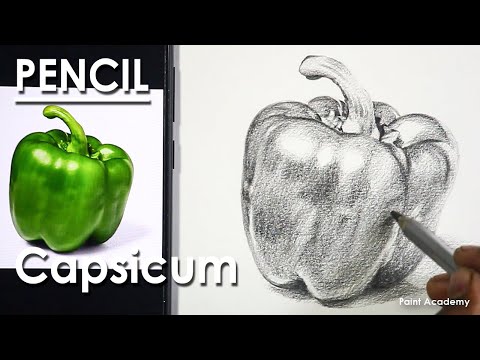 How to Draw A Realistic Capsicum Bell pepper in Pencil | step by step shading techniques