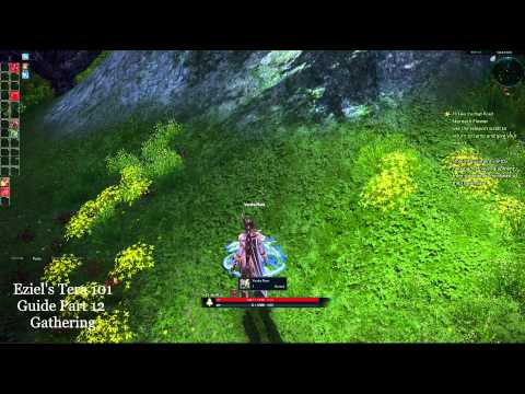 Eziel's Tera 101 Guide Part 12 - Gathering Intro