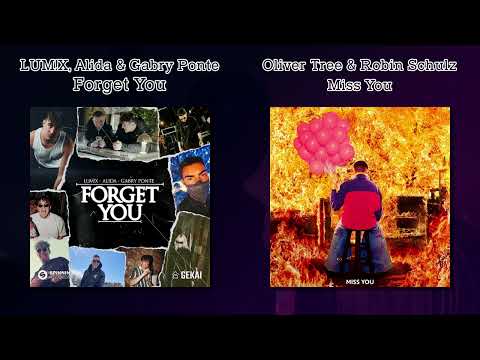 LUM!X, Alida, Gabry Ponte, Robin Schulz & Oliver Tree - Forget You / Miss You (Mashup)