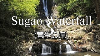 preview picture of video 'LIFE IN FUKUOKA | Sugao Waterfall after the Super Moon (菅生の滝の後にスーパー·ムーン)'