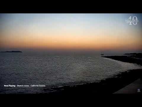 xue fei - techno trance party - day 82 -schmonk squad