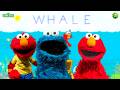 Sesame Street Games 2044