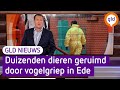 GLD Nieuws 25 januari 2022