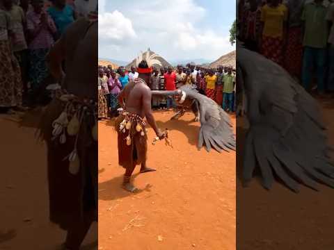 Native Doctor Healed Him #shorts #trending #funny #youtubeshorts #funnycomedy #comedy