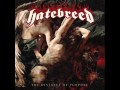 Hatebreed - Before The Fight Ends You 2013