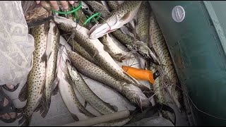 Рыбалка талакан 2019