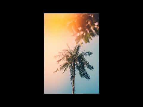 [FREE] Calvin Harris x Disclosure Type Beat - "Summer's Over"