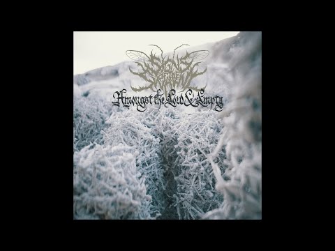 Signs of The Swarm — Amongst The Low & Empty (FULL ALBUM)