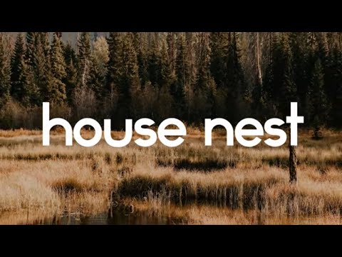 PREMIERE: Gorkiz, Gaston Sosa - All Night Long (Original Mix) [Transensations Records]