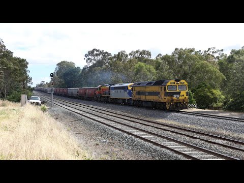 EMD trio on a heavy train / SSR Grain Train 4CM1