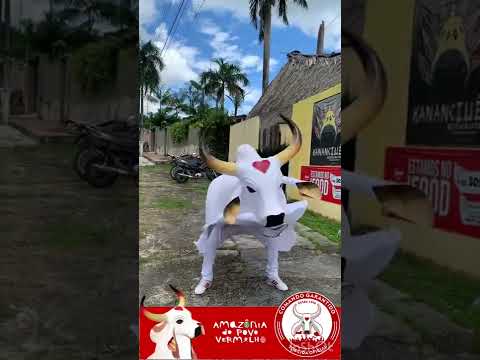 Brinquedo Da Emoção - Boi Garantido