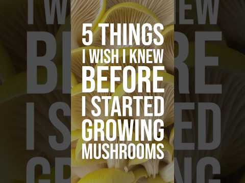 5 Things I wish I Knew Before I Started Growing Mushrooms! | GroCycle #shorts