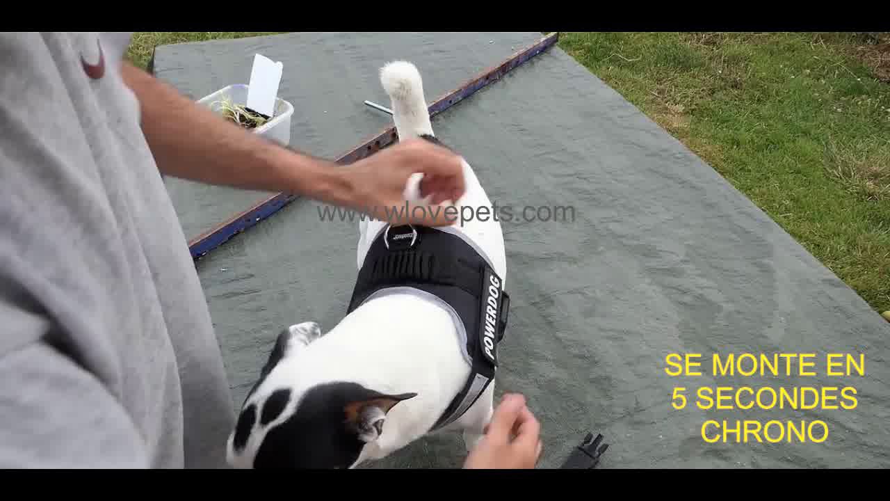 Harnais pour chien personnalisable WLovePets®