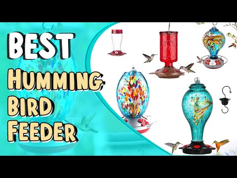 Best Hummingbid Feeder | Top 5 | Glass Hummingbird Feeder | Amazon Hummingbird Feeder,