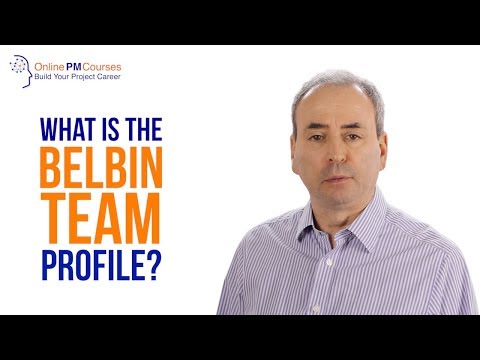 What is the Belbin Team Profile? Project Management in Under 5
