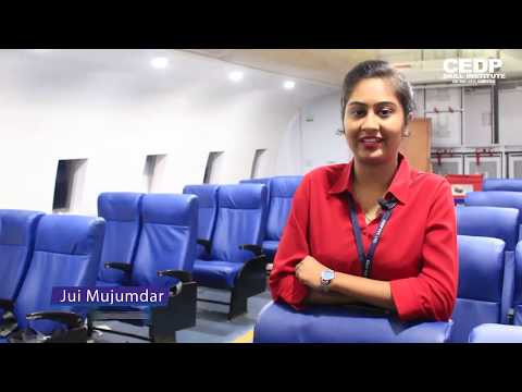 Diploma in aviation and cabin crew