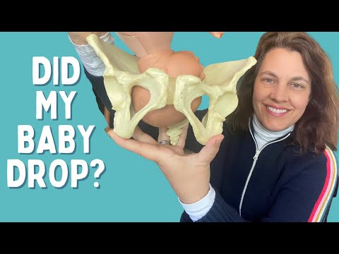 How Do I Know If My Baby Dropped?