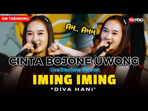 DIVA HANI - CINTA BOJONE UWONG HEHE HAHA - IMING IMING (LIVE DANGDUT ELECTONE LEMBAYUNG MUSIC)