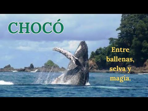CHOCÓ: EL PARAÍSO SECRETO DE COLOMBIA