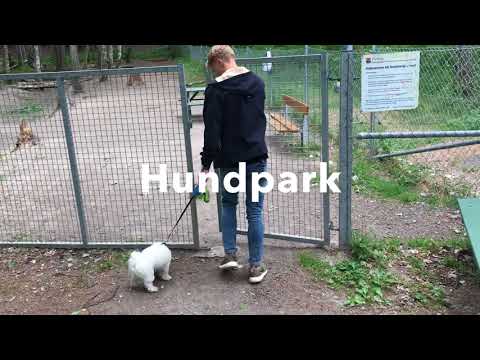 Sommarvloggen 2018 Brandbergen Intro